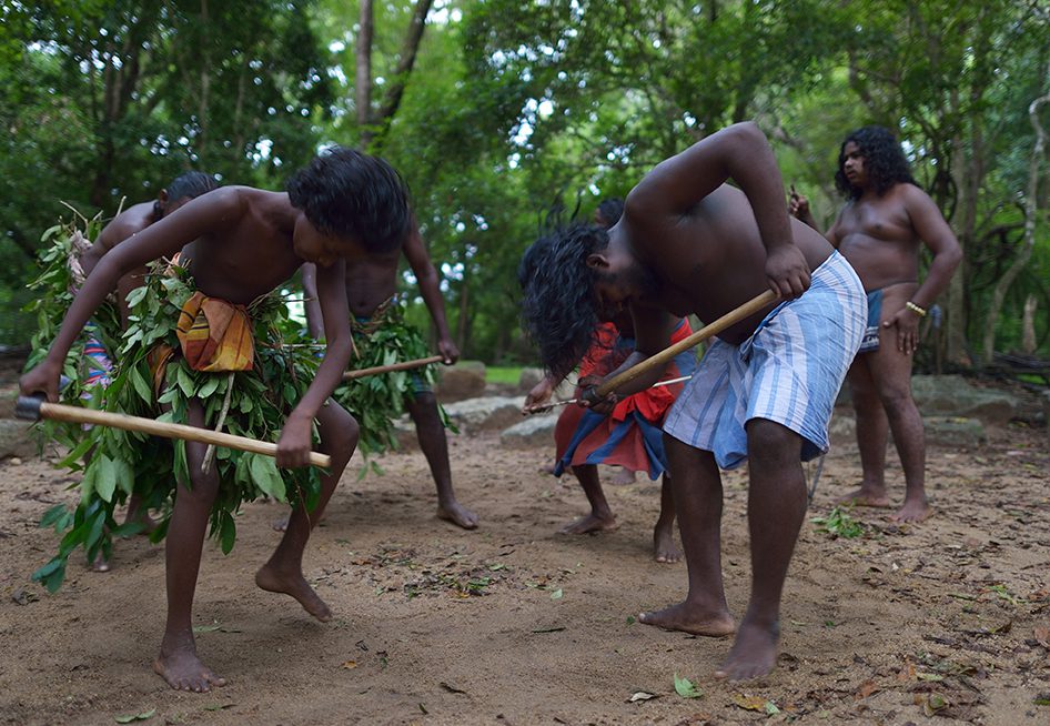 Vedda Heritage Trail